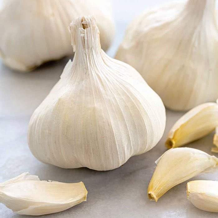 سیر خشک سفید با حبه‌های یکدست و فرآوری اصولی