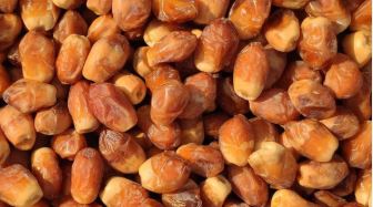 قیمت خرید خرما زاهدی خشک + فروش ویژه