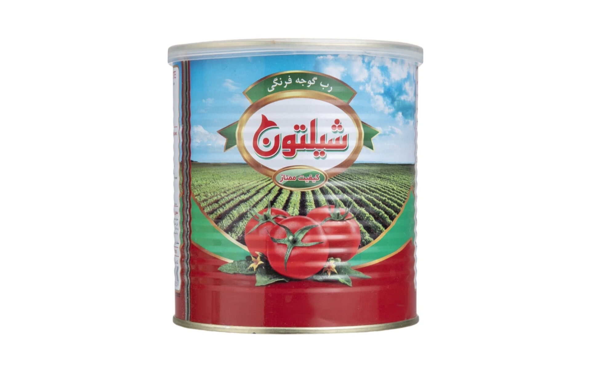 تولیدکننده برتر رب گوجه فرنگی شیلتون برای بازار داخلی و صادرات