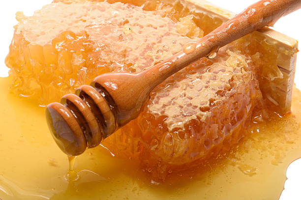 عسل کوهی وحشی خالص با عطر دلنشین طبیعت