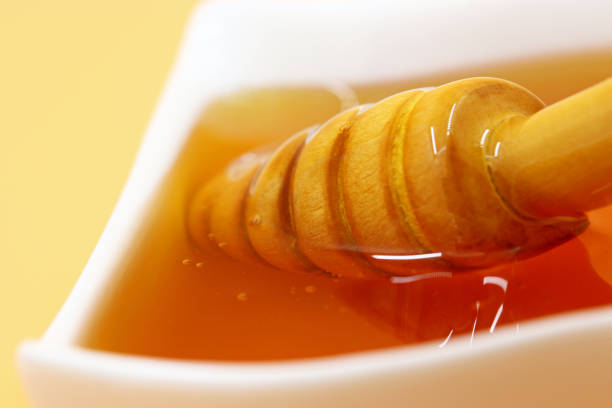 فروش عمده عسل کوهی ناب + تضمین طعم واقعی