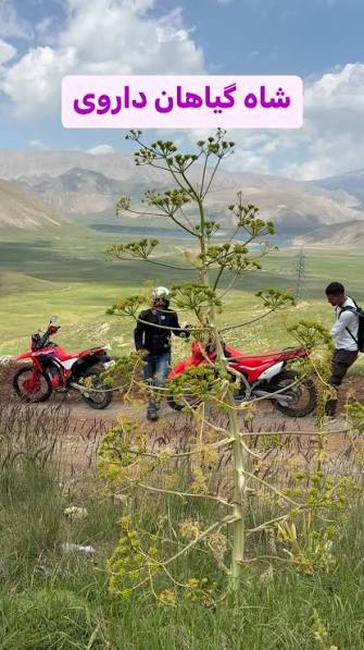 قطب تجارت باریجه ایران