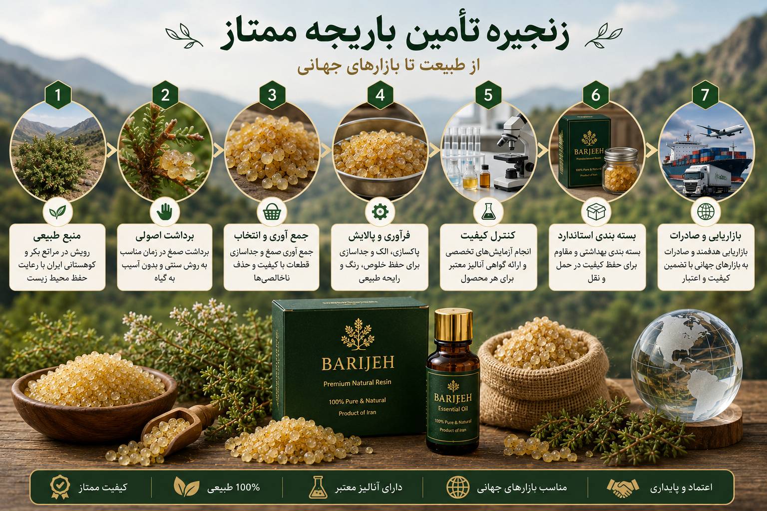 زنجیره تأمین باریجه ممتاز