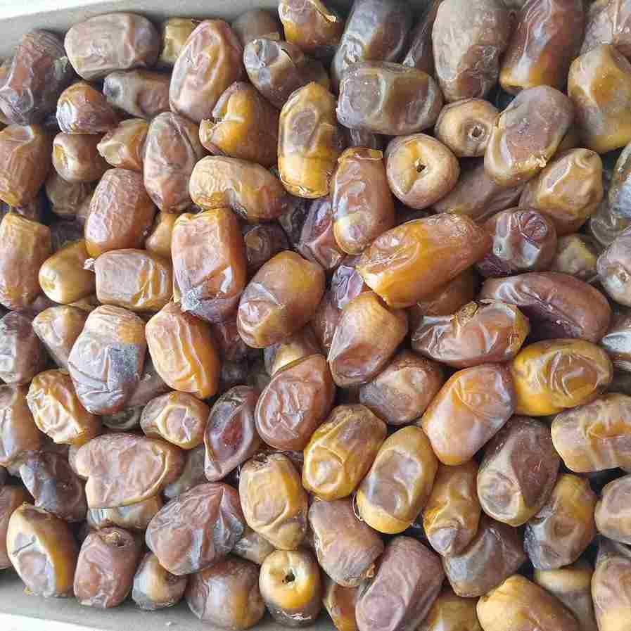 خرما زاهدی برای لاغری با فیبر طبیعی و انرژی متعادل