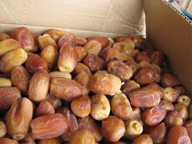 خرما زاهدی عراق با رنگ زرد طلایی و کیفیت مطلوب