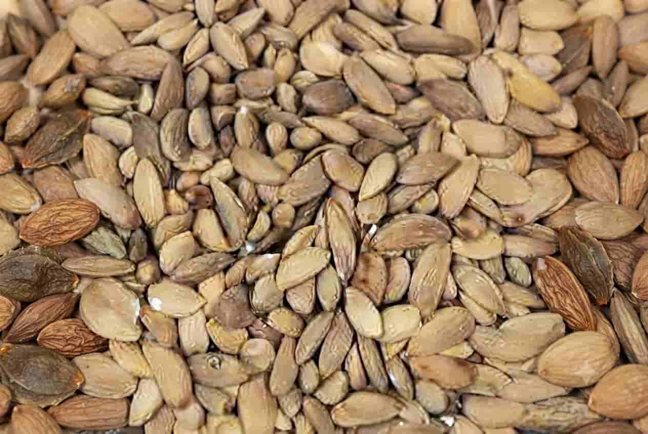 مغز بادام محلی طبیعی با طعم دلنشین و ارزش غذایی مناسب