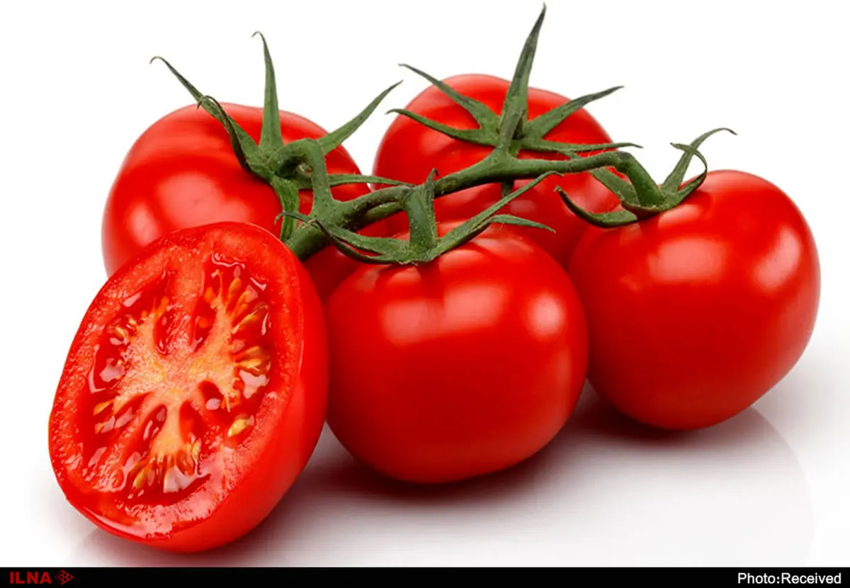 تصویر 1 از صادرات رب گوجه‌فرنگی ملکیان کیفیت ارگانیک و ممتاز