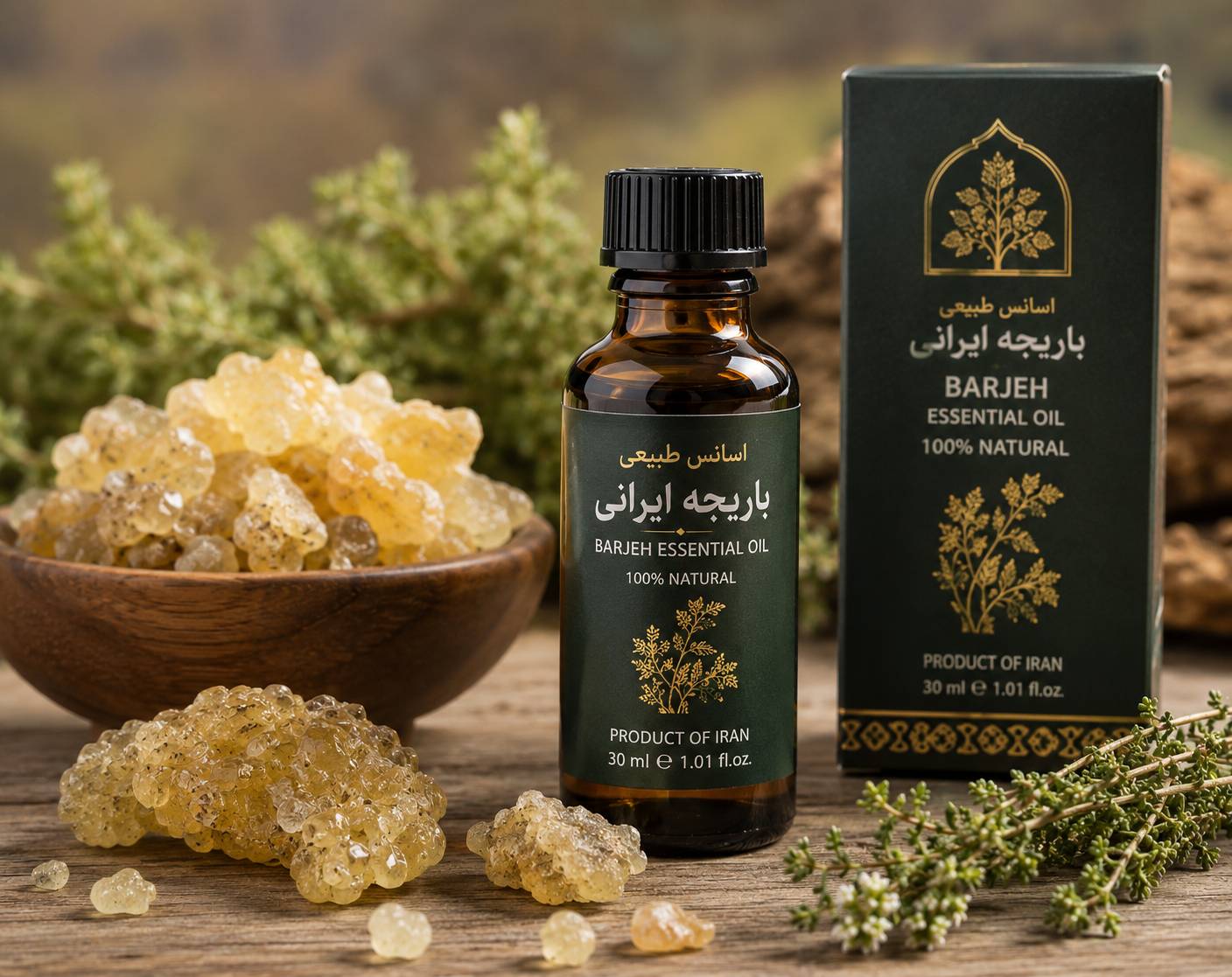 صادرات ارزشمند اسانس طبیعی باریجه