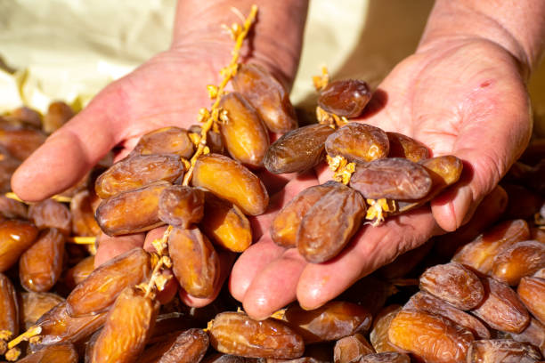 خرید خرما پیارم لوکس + قیمت ویژه