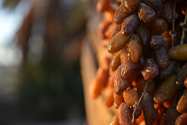 خرید و قیمت خرما پیارم دمباز + فروش صادراتی