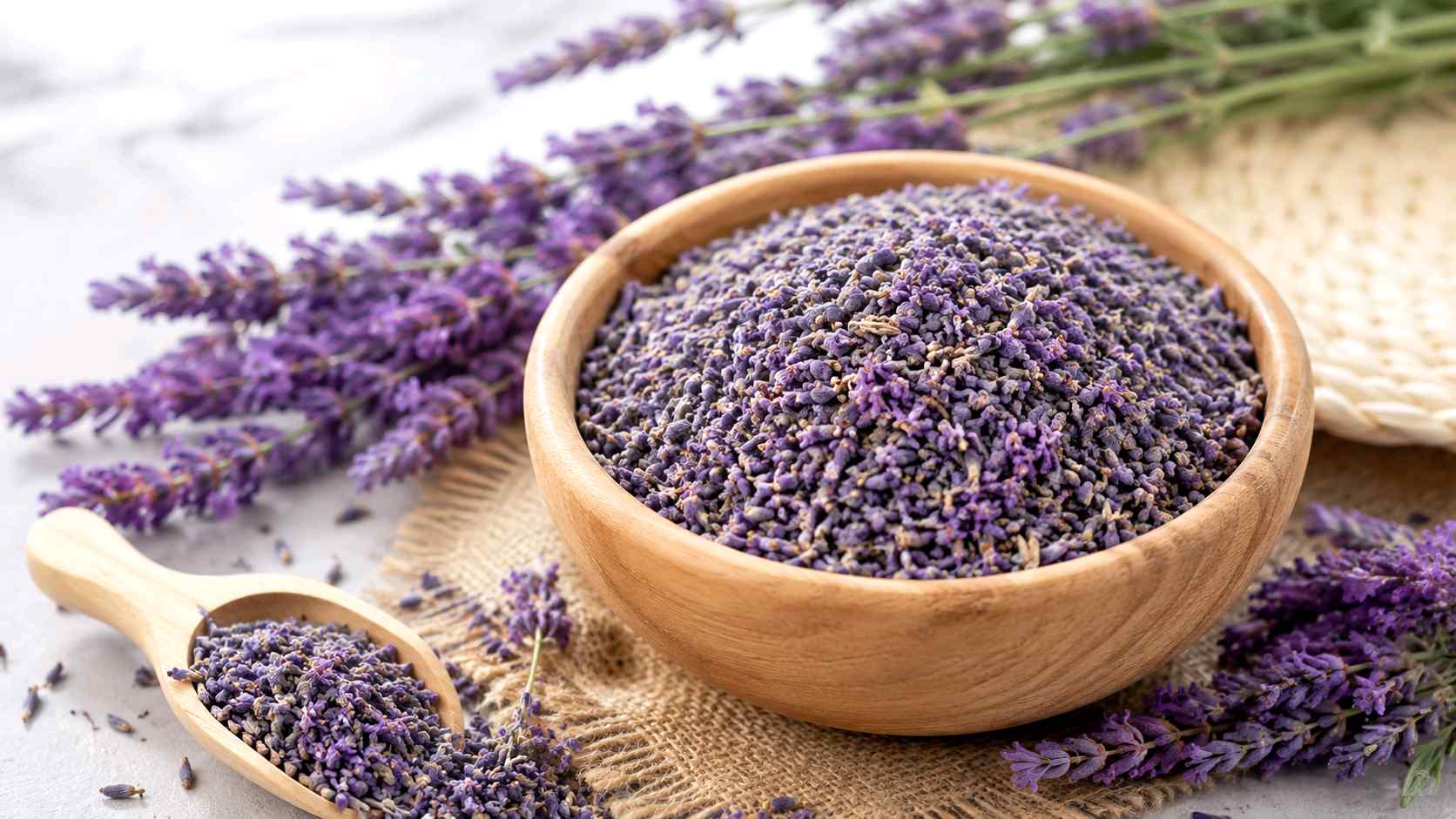 فروش عمده گل اسطوخودوس با کیفیت صادراتی | تأمین مستقیم از تولیدکننده