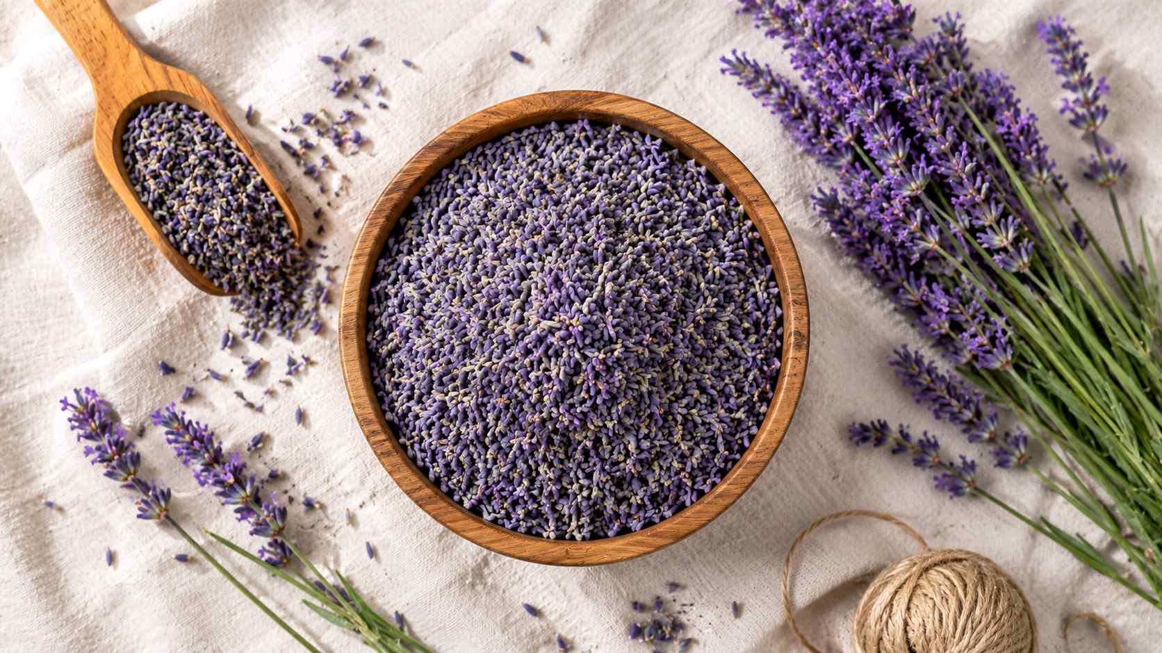 تصویر 3 از فروش عمده گل اسطوخودوس با کیفیت صادراتی | تأمین مستقیم از تولیدکننده