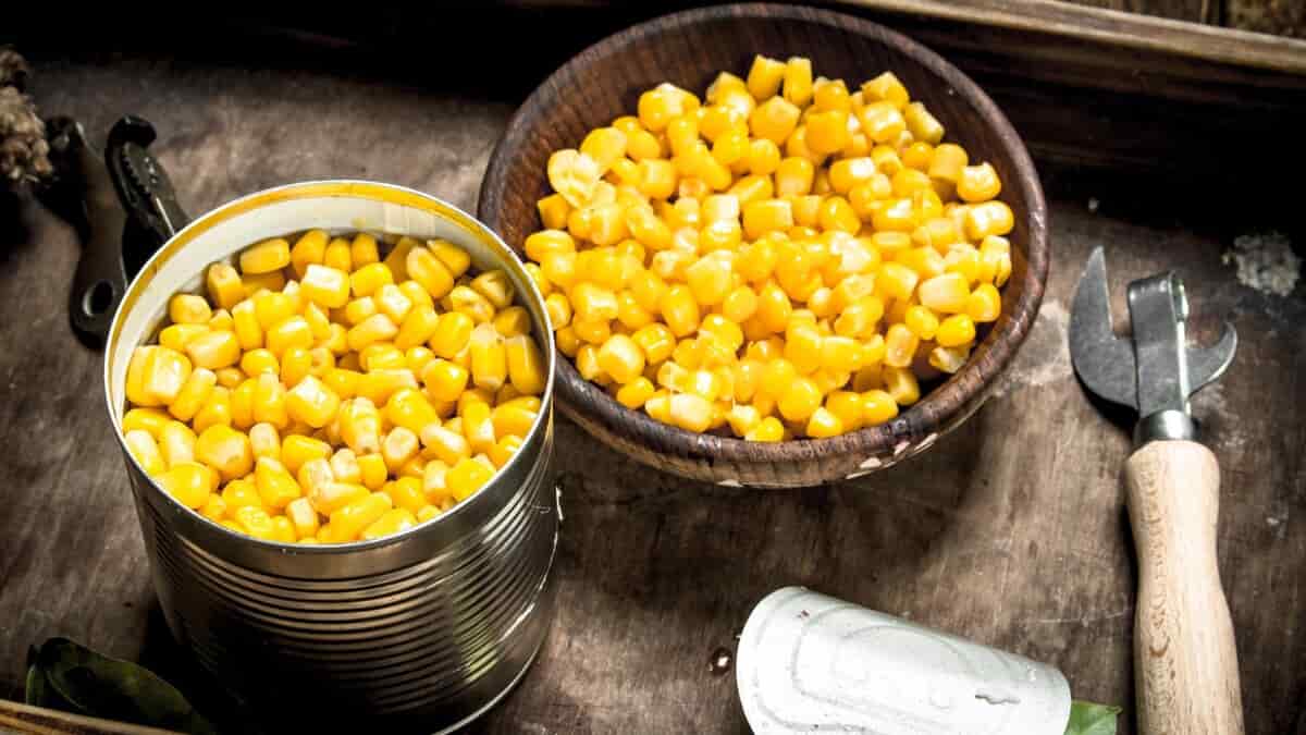 کنسرو ذرت شیرین مکنزی جلوه ای طلایی در هر وعده