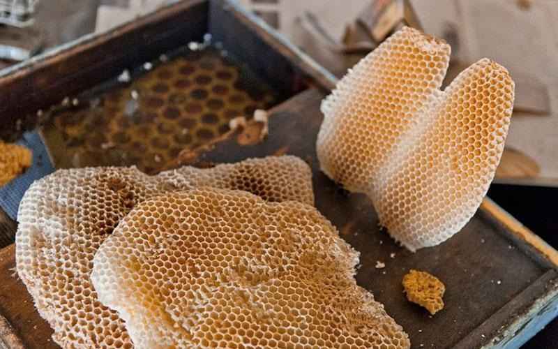 عسل وحشی شاخه ای با موم طبیعی و عطر دلپذیر