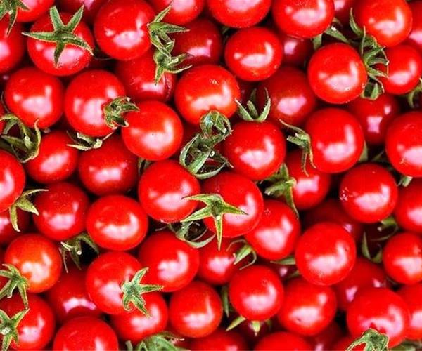 تصویر 2 از رب گوجه فرنگی تک محلات محصولی پرمایه با کیفیت مناسب برای پخت های طولانی