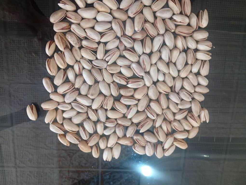 قیمت مناسب پسته اکبری رفسنجان