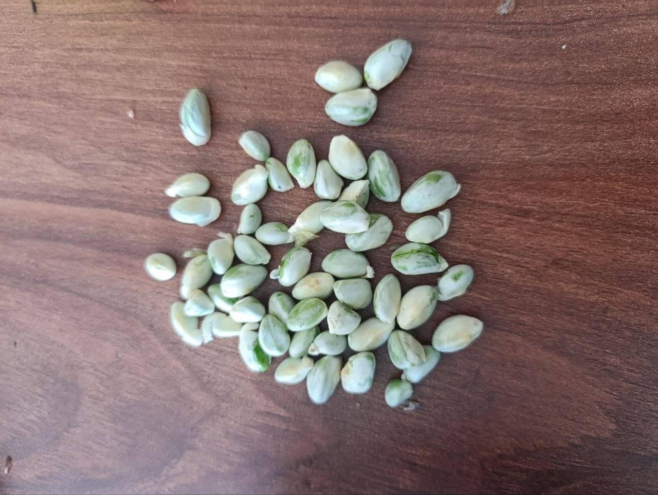 فروش مغز پسته کالک با کیفیت عالی
