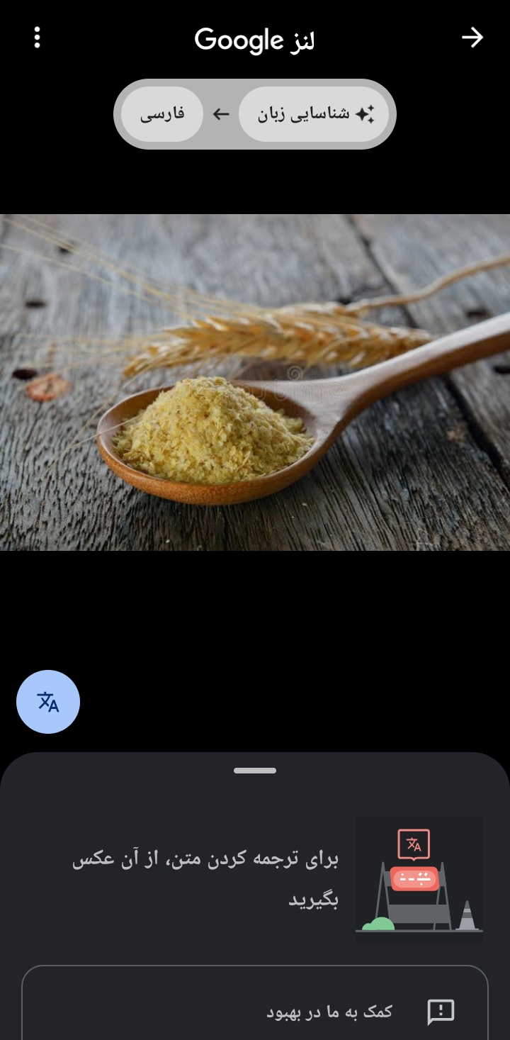 تصویر 1 از فواید جوانه گندم + عمده