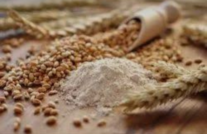 تصویر 3 از پودر جوانه گندم برای مو