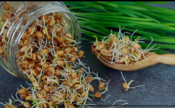 بهترین زمان مصرف جوانه گندم