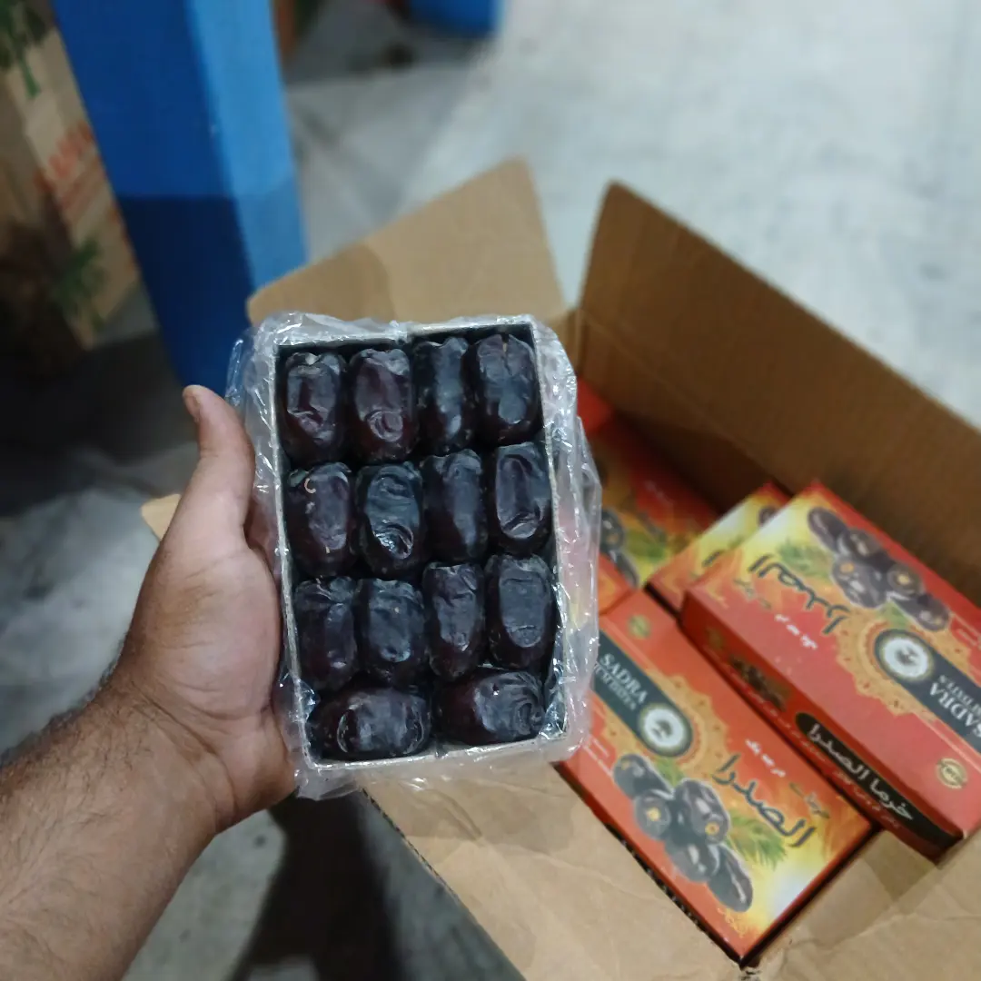 تصویر 3 از خرید خرما مضافتی با تضمین کیفیت + قیمت عمده