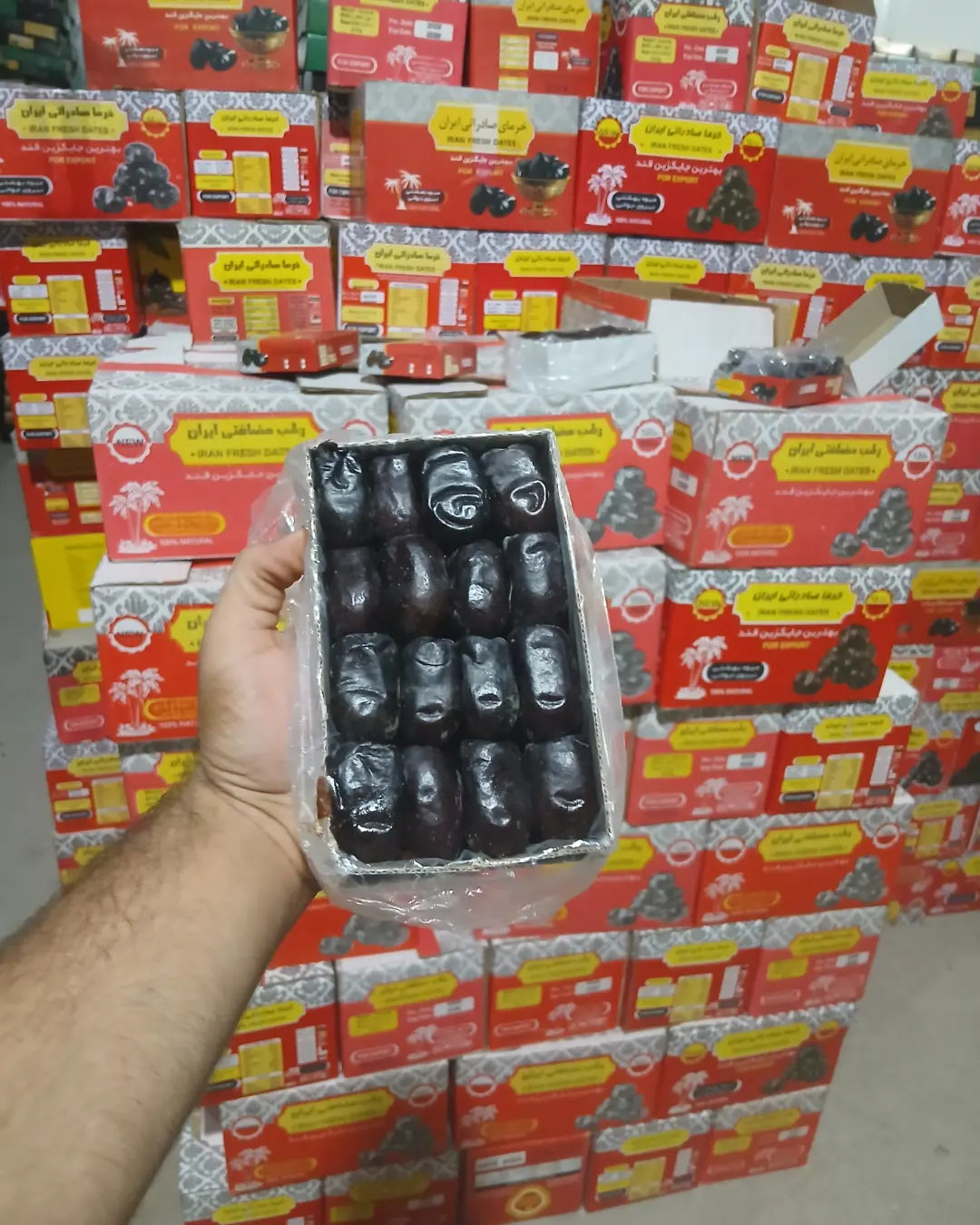 تصویر 2 از مرکز فروش خرمای مضافتی با قیمت عمده