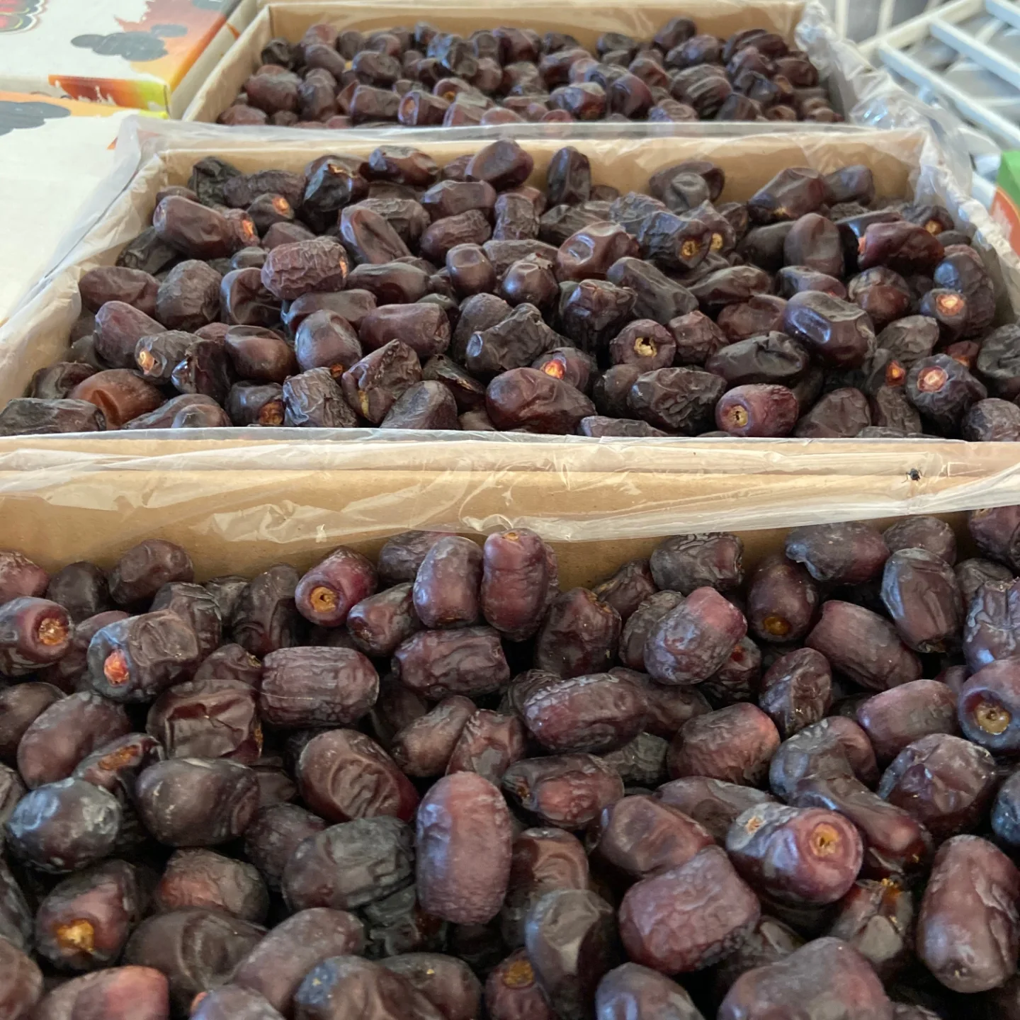 تصویر 4 از خرید خرمای صادراتی بم با قیمت عمده