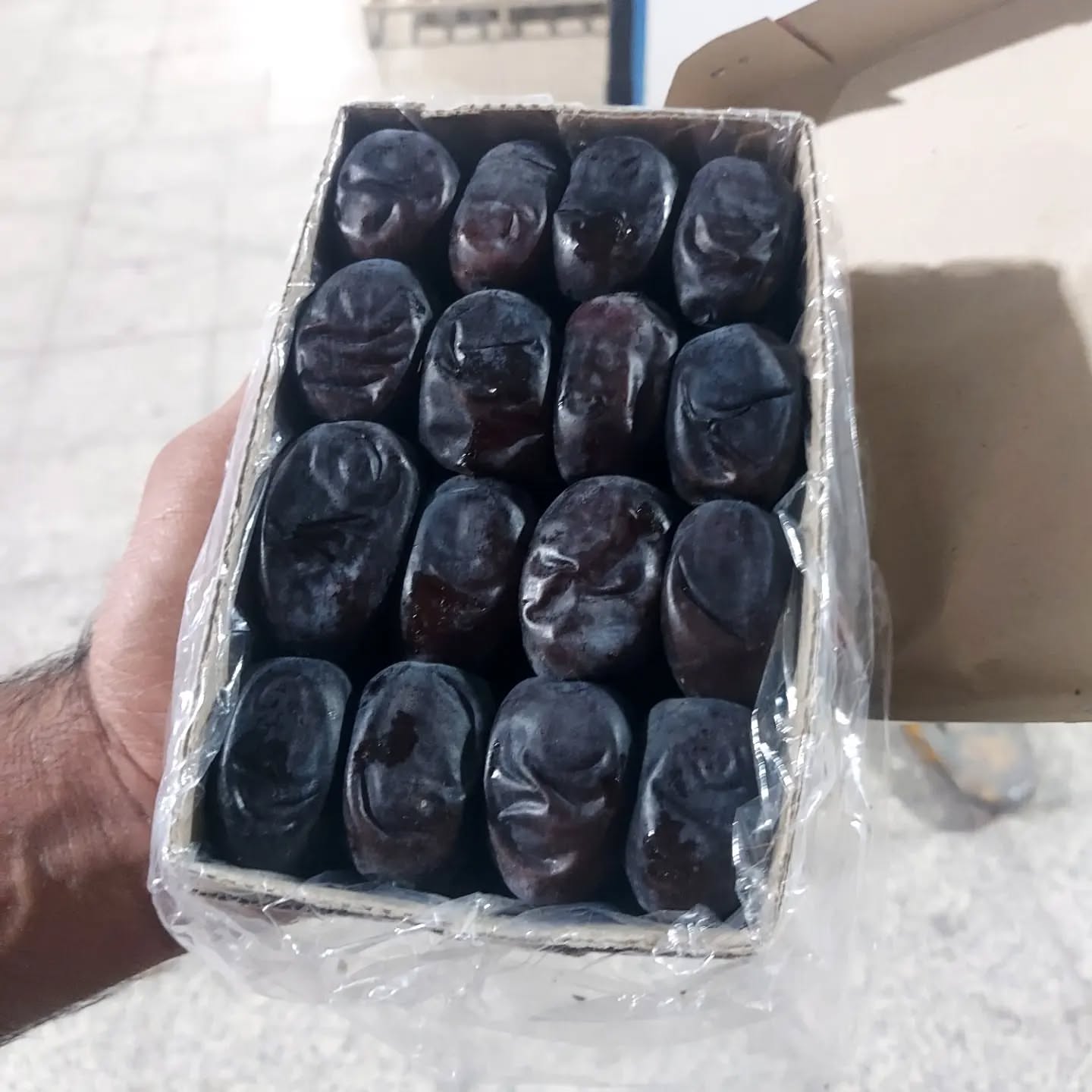 تأمین عمده خرما برای تجار و صادرکنندگان