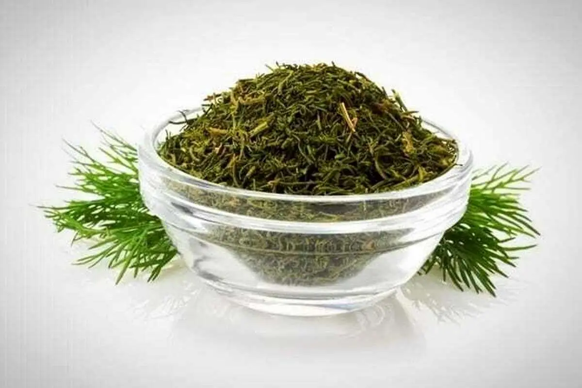 شوید خشک صادراتی با کیفیت بالا و عطر ماندگار