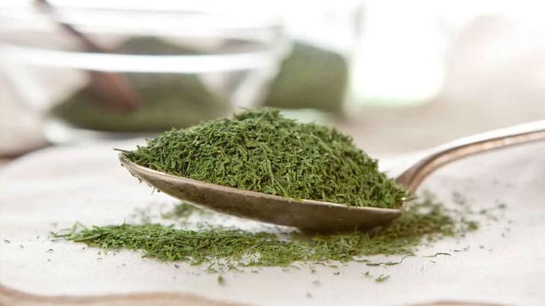 شوید خشک درجه یک مناسب آشپزی و مصرف روزانه