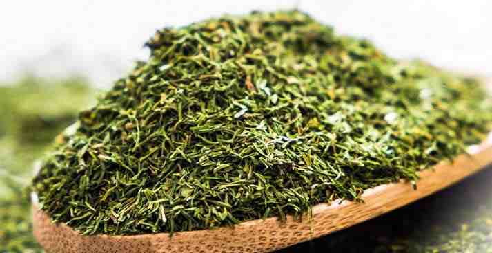 شوید خشک برای شوید پلو تهیه شده از شوید مرغوب