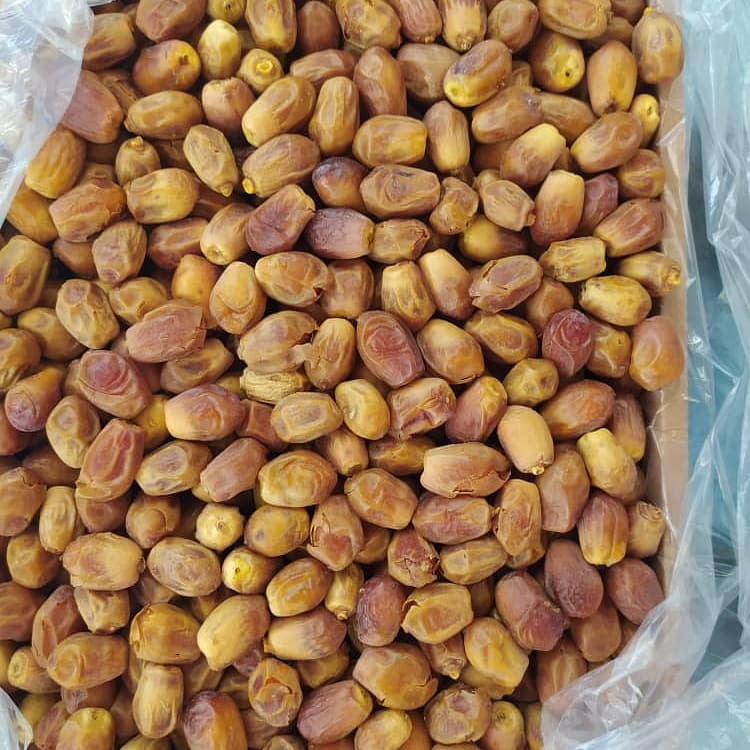 بسته بندی خرما زاهدی صادراتی با قیمت عمده