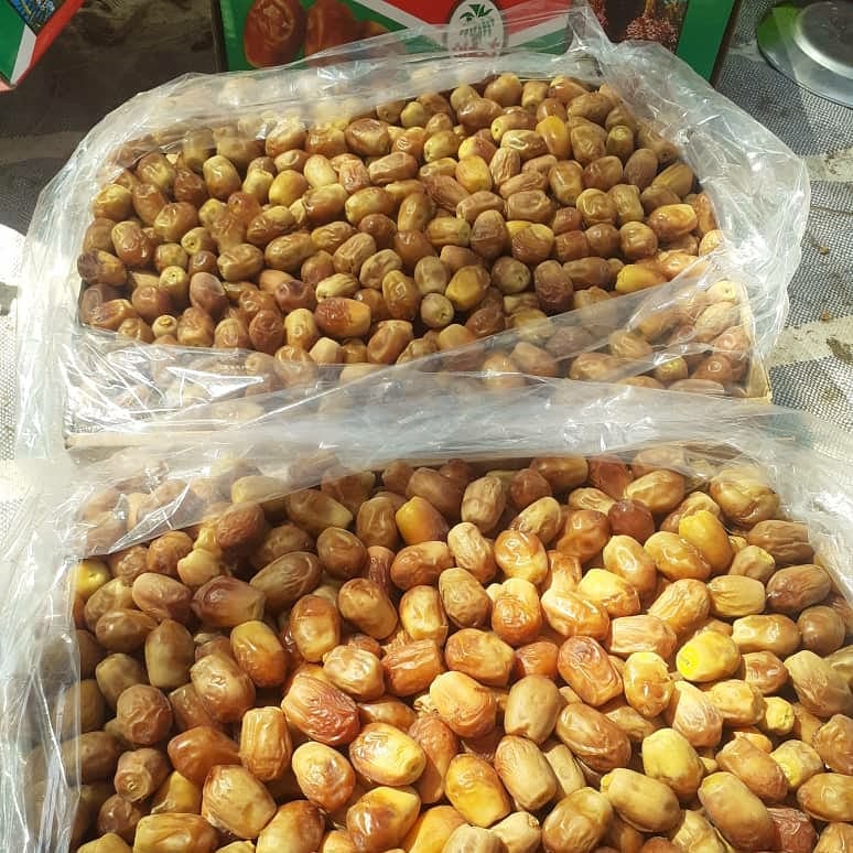 تصویر 3 از بسته بندی خرما زاهدی صادراتی با قیمت عمده