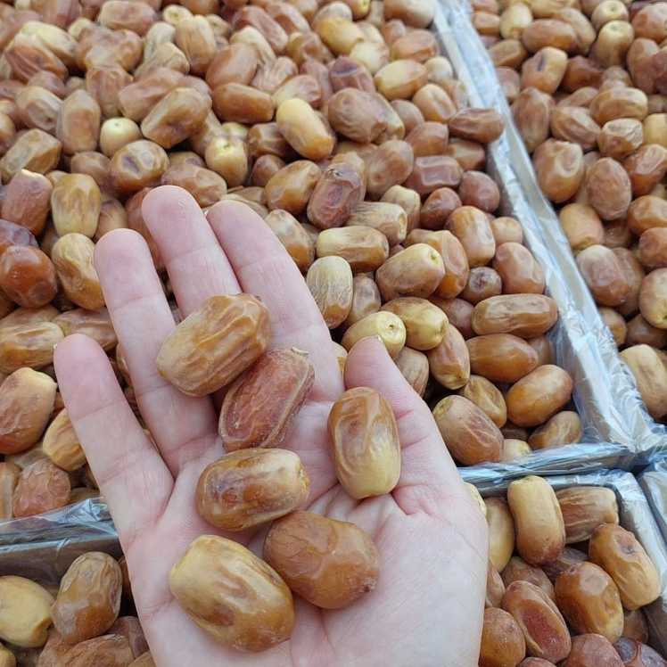 تصویر 2 از خرما زاهدی صادراتی با بسته بندی استاندارد