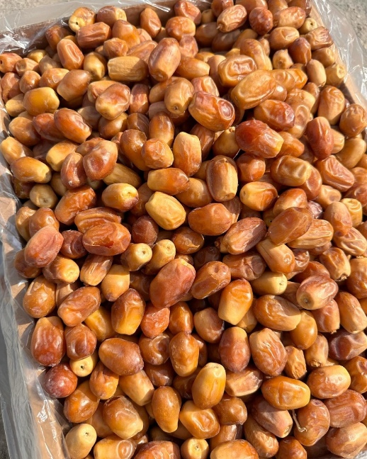 شرکت صادرات خرما زاهدی ایران با قیمت عمده