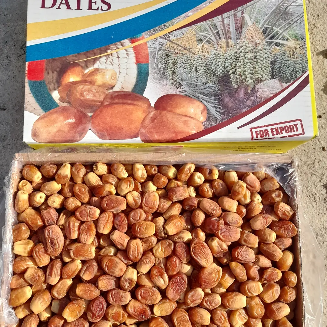 تصویر 1 از فروش بهترین کیفیت خرما زاهدی صادراتی