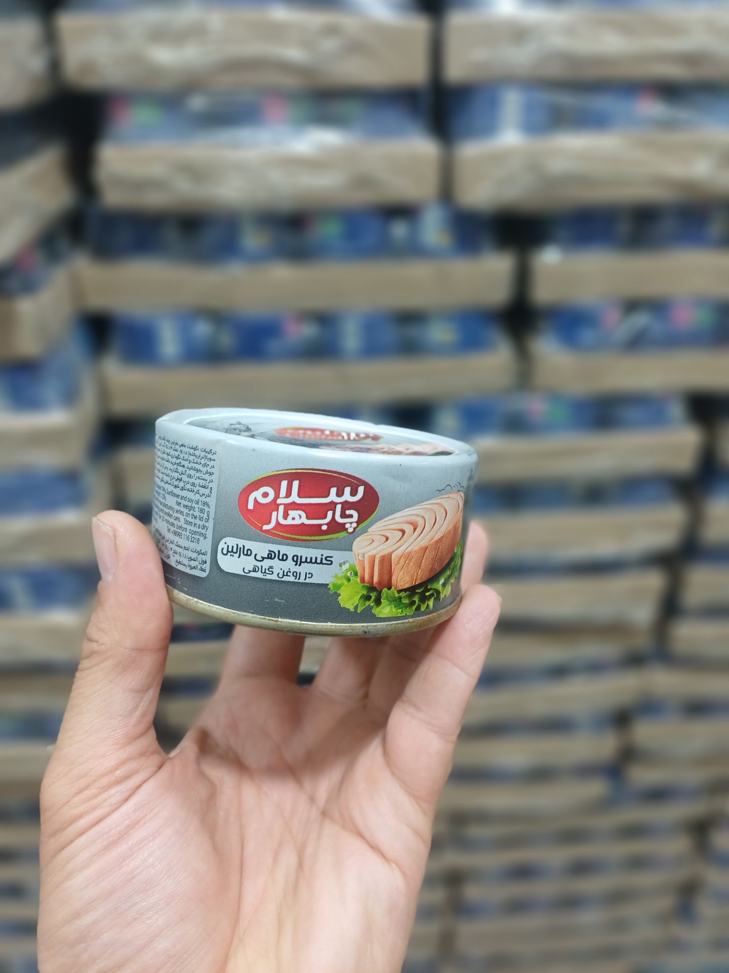 فروش عمده کنسرو ماهی سلام چابهار