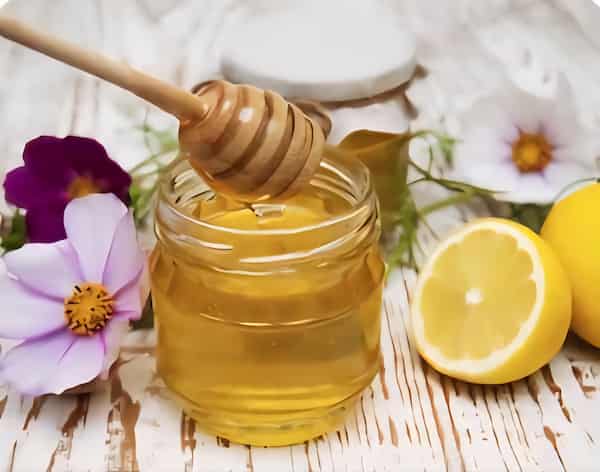 قیمت خرید عسل زنیان هانیوا + فروش ویژه