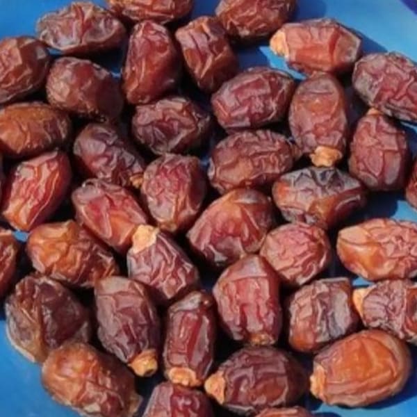 قیمت و خرید اینترنتی خرمای خاصویی خشک با بهترین کیفیت