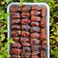 تصویر 1 از خرید و قیمت خرمای کبکاب بوشهر + فروش عمده