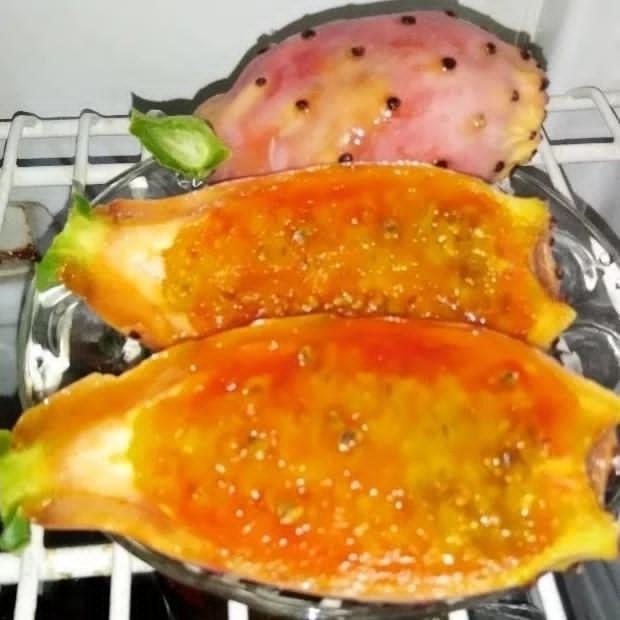 تصویر 4 از تولید عمده گلابی مالتا