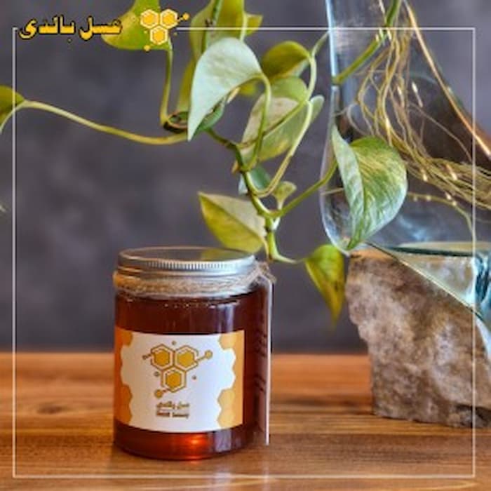 تصویر 1 از فروش اینترنتی عسل کوهدشت + قیمت مناسب