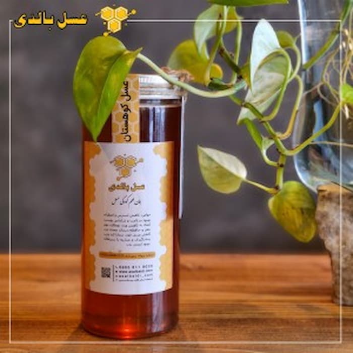 تصویر 2 از فروش اینترنتی عسل کوهدشت + قیمت مناسب