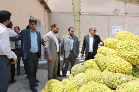 قیمت کنسانتره لیمو