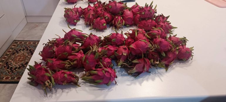 تصویر 4 از قیمت عمده میوه دراگون در تهران