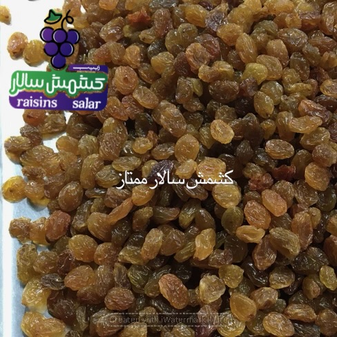 قیمت عمده کشمش تیزابی امروز