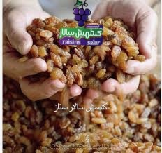 تصویر 4 از خرید عمده کشمش تیزابی ارزان