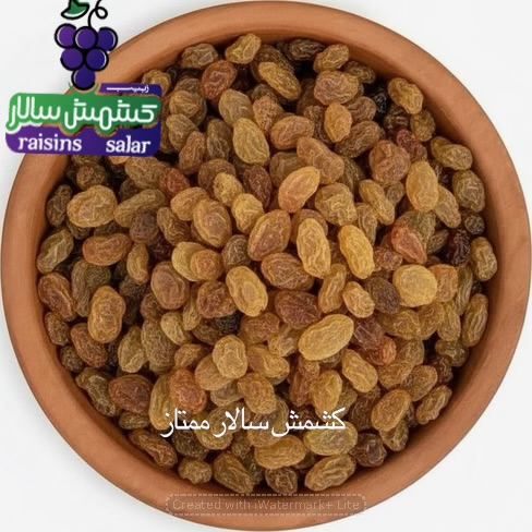 نمایندگی فروش عمده کشمش تیزابی