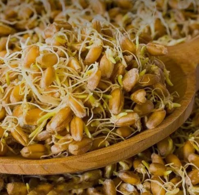 تصویر 3 از پودر جوانه گندم برای افزایش وزن؛ انتخابی طبیعی برای رژیم غذایی پرکالری