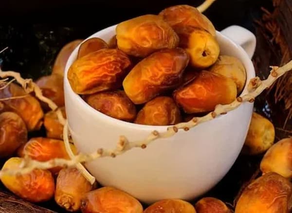 قیمت خرید خرمای زاهدی + فروش عمده